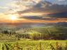 Diese Wein- und Genussreise fhrt uns in die unbekannte Toskana rund um den Vulkan Monte Amiata. Vom Vulkan der Toskana starten wir in fnf Weinanbaugebiete und genieen die Weine der Toskana. Ob Brunello aus dem Montalcino oder Morellino der Maremma.